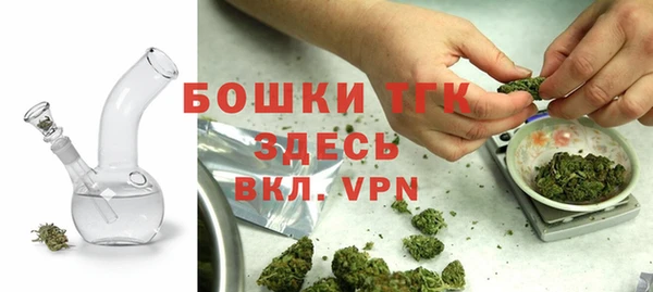 дмт Заводоуковск