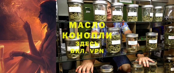 дмт Заводоуковск
