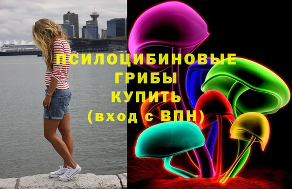 дмт Заводоуковск