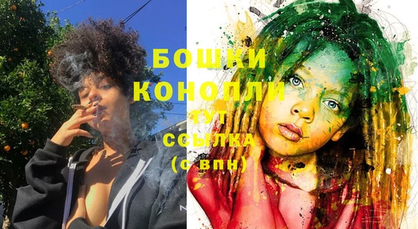 дмт Заводоуковск