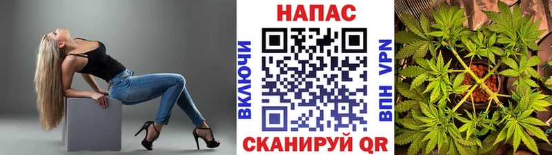 Каннабис White Widow  Купить закладки  Верея 